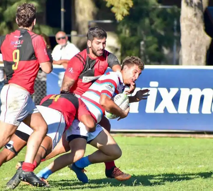 Rugby: Tiro Federal perdió ante Albatros en San Pedro