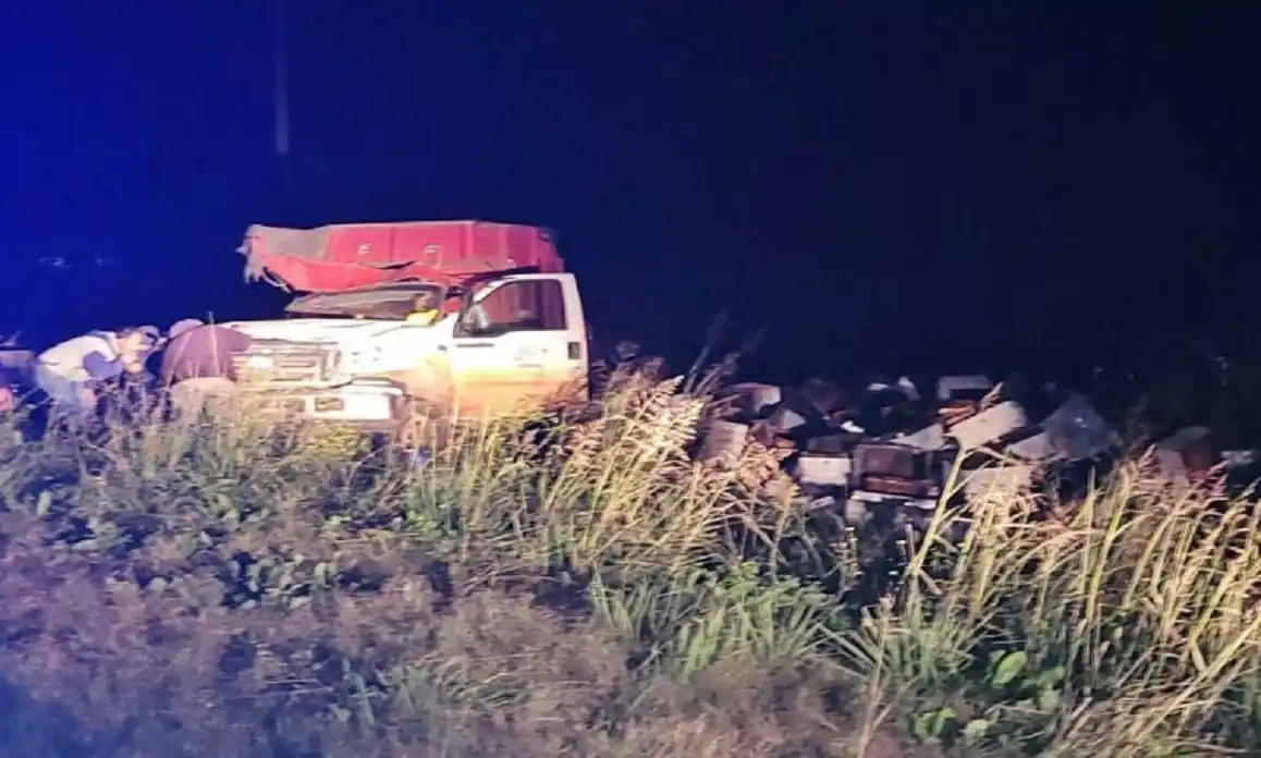 Ruta 18: volcó un camión que transportaba colmenas y se le escaparon las abejas