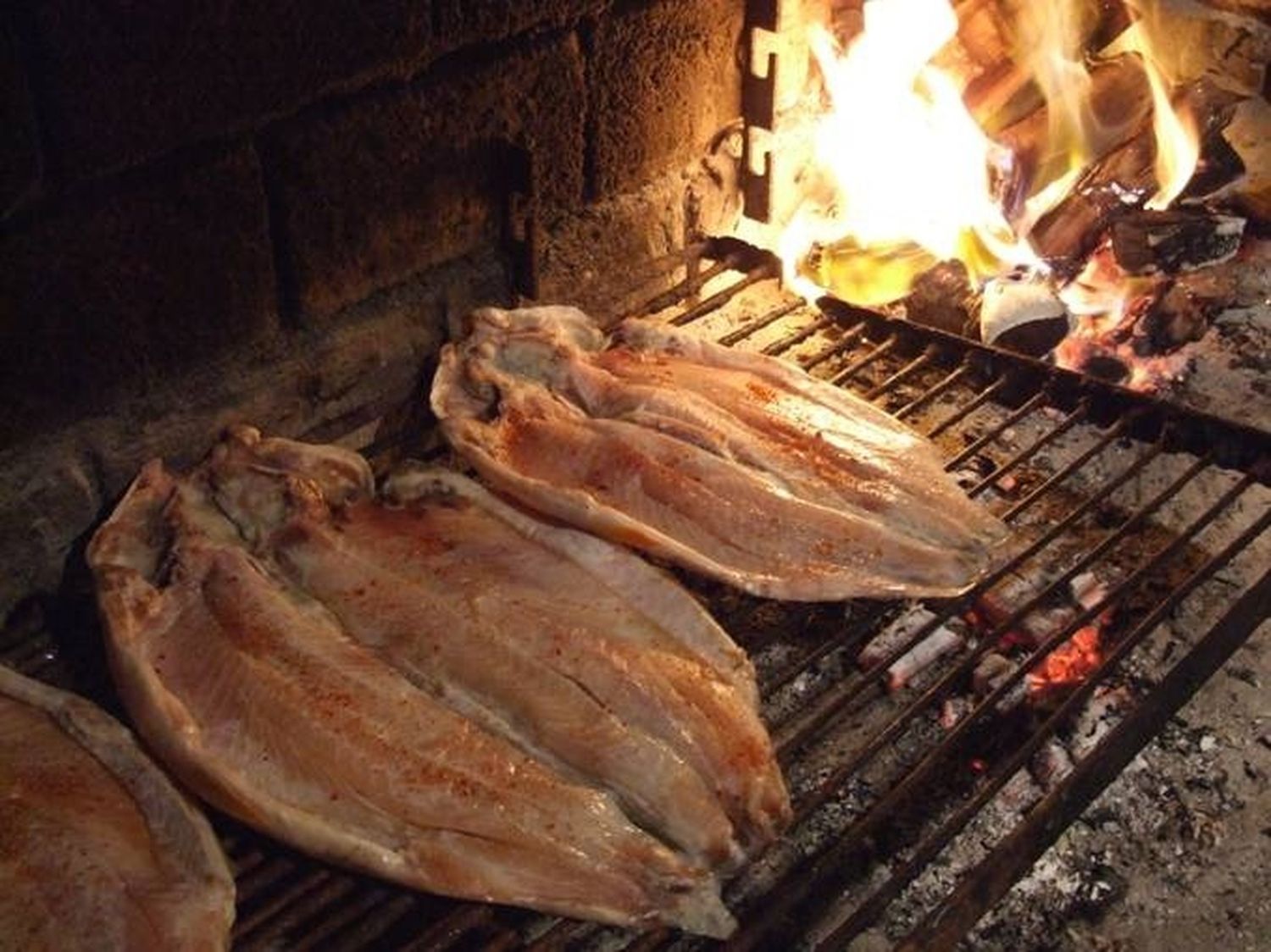 Dorado