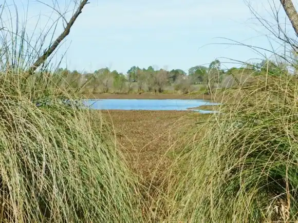 Entre Ríos será sede de un foro científico nacional sobre estudio de los mamíferos