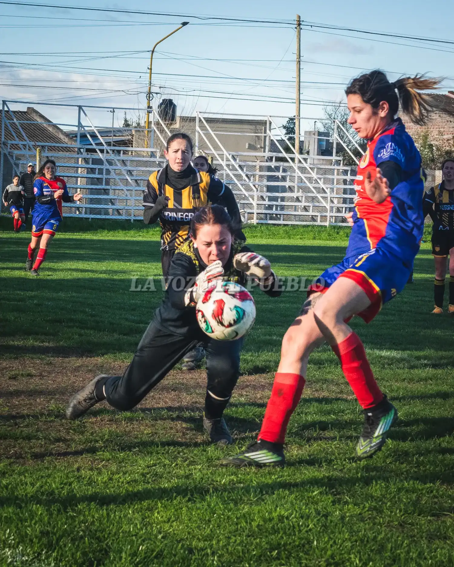 femenino cole-barra - 5