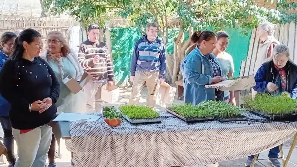 Nuevas jornadas del programa de huertas agroecológicas