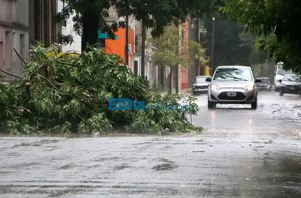 El temporal también castigó Gualeguaychú
