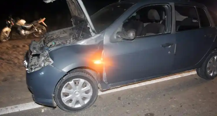 Caballos sueltos: Dos autos involucrados en un choque en ruta 1001 con un equino que perdió la vida