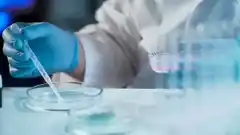 Las nuevas estrategias de fertilización asistida aumentan las tasas de embarazo