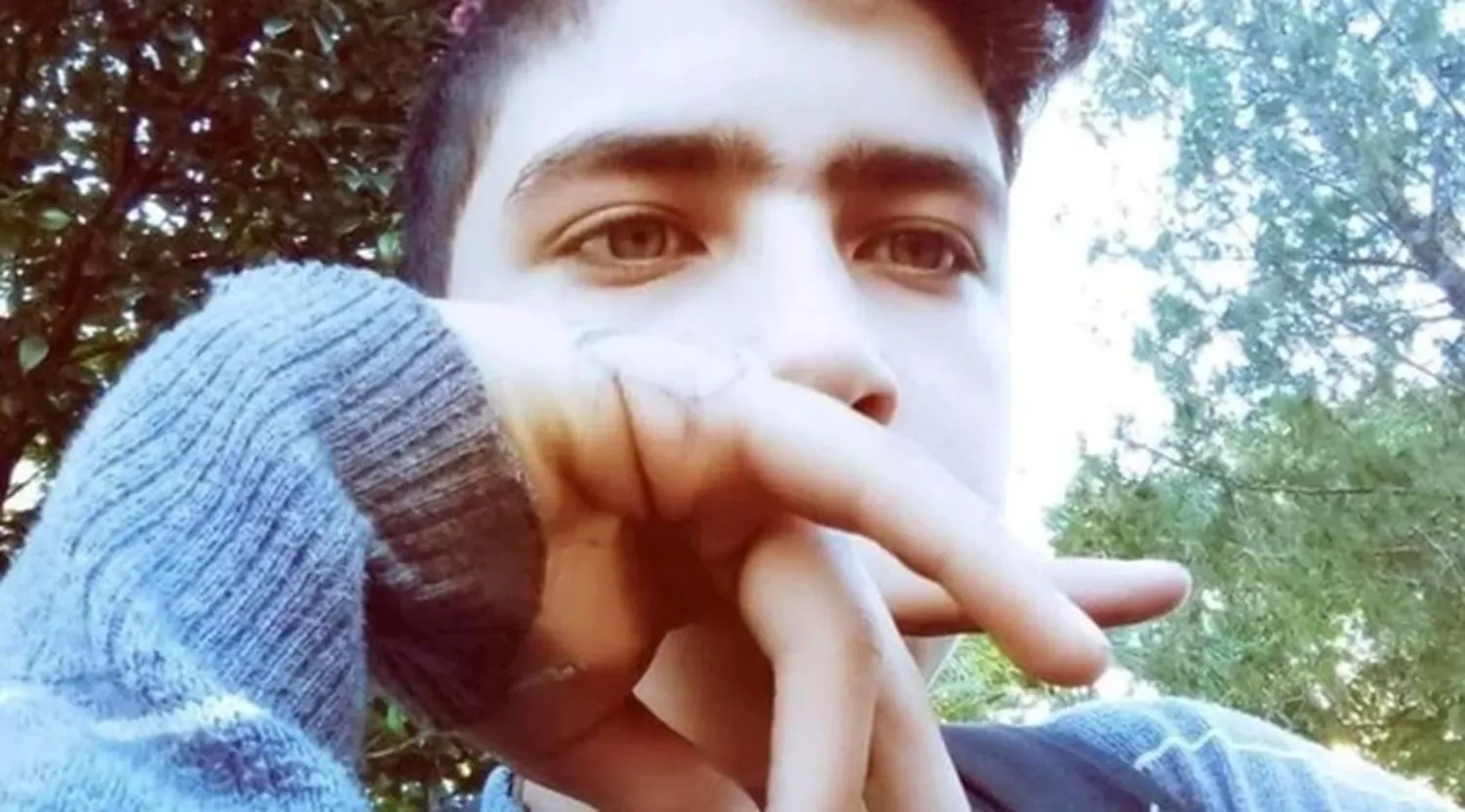 Misiones: un adolescente murió por una picadura de la "araña de los rincones"