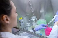 El "bocavirus", la infección respiratoria que afecta a pacientes pediátricos