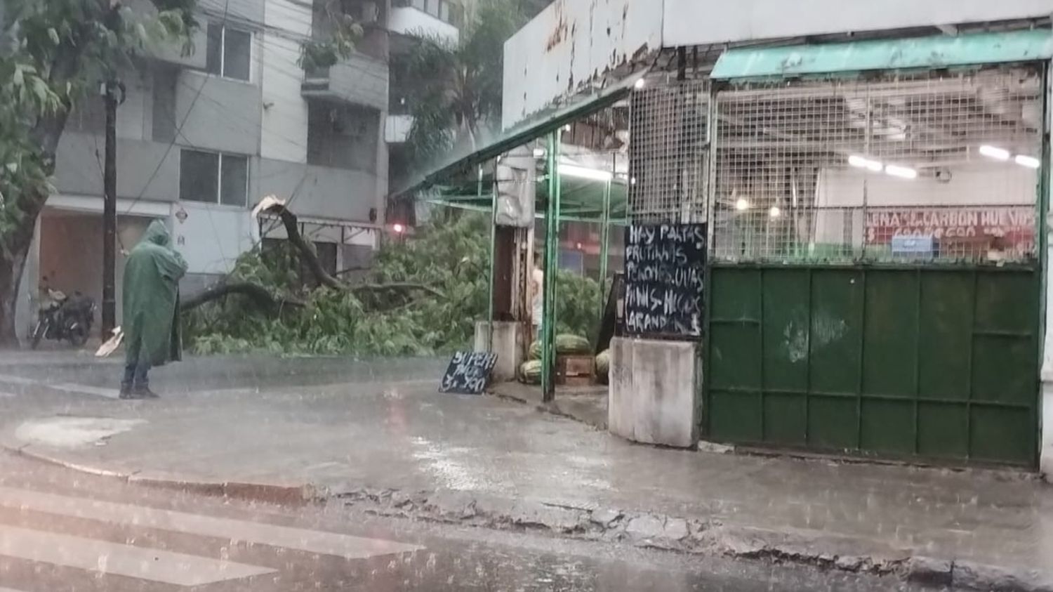 Las primeras consecuencias de la lluvia y el viento en las calles de la ciudad