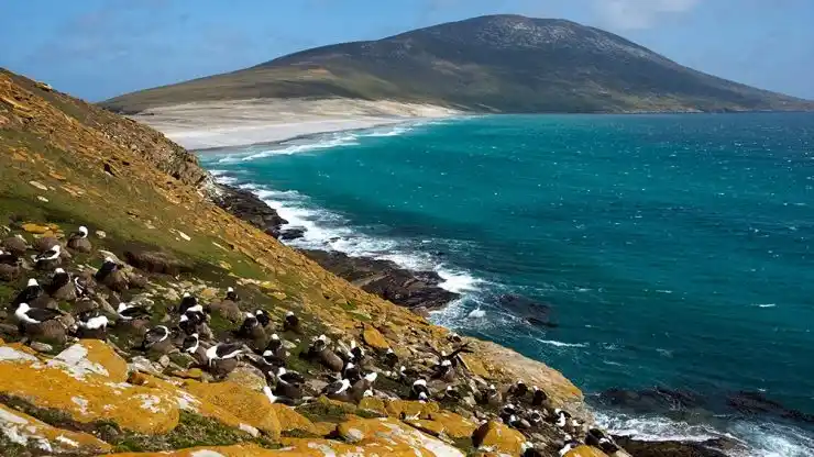 Malestar por concurso británico que invita a universitarios argentinos a Malvinas
