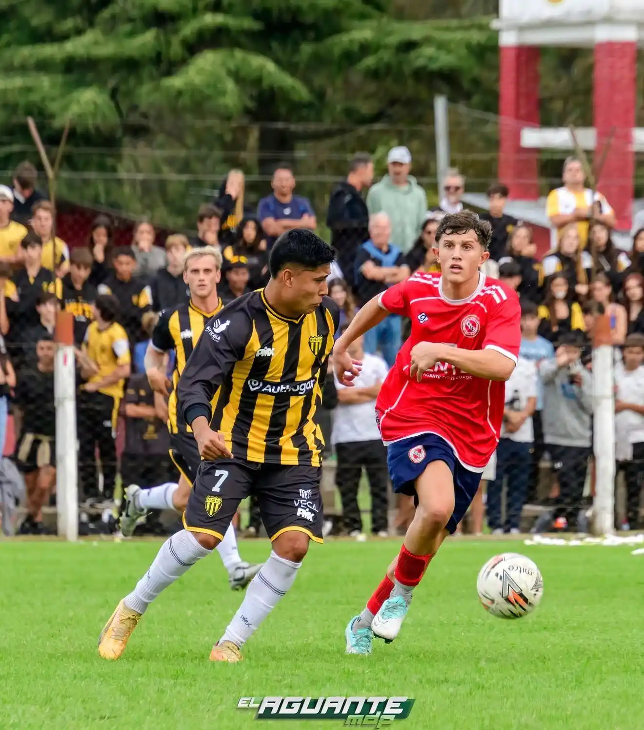 Foto Jazmin Belga @elaguantemdp