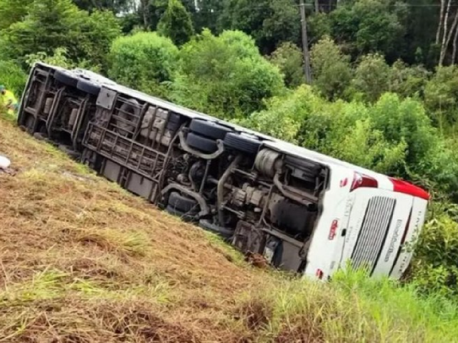 Una turista argentina y su hijo de tres años murieron al desbarrancar un micro en Brasil