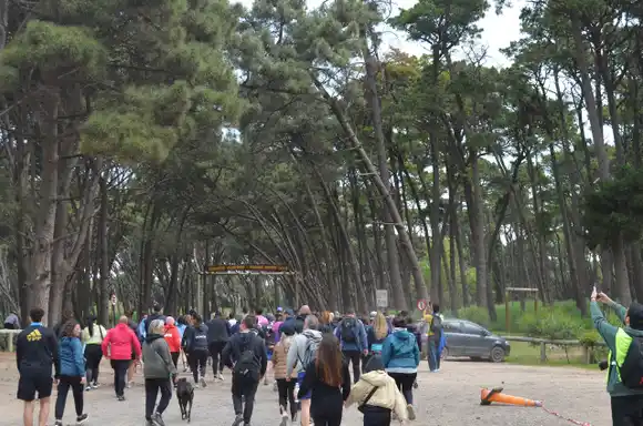 Fin de semana largo: Necochea tuvo alta ocupación y se perfila para una gran temporada de verano