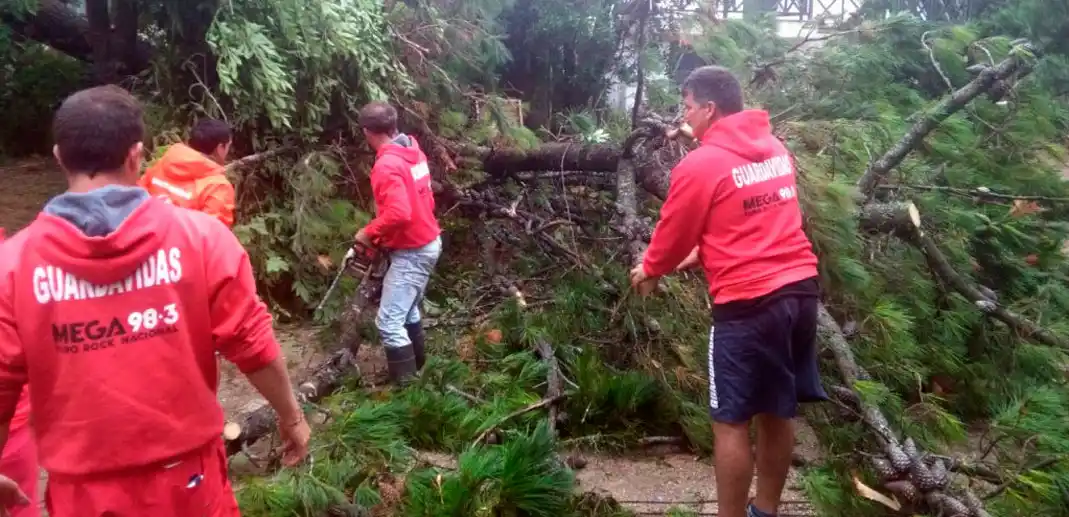 Provincia apura a Villa Gesell para que devuelva motosierras tras temporal