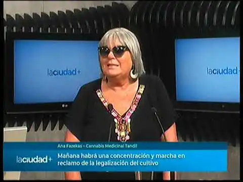 Movilización y marcha en el Día Nacional de la Marihuana | La Ciudad