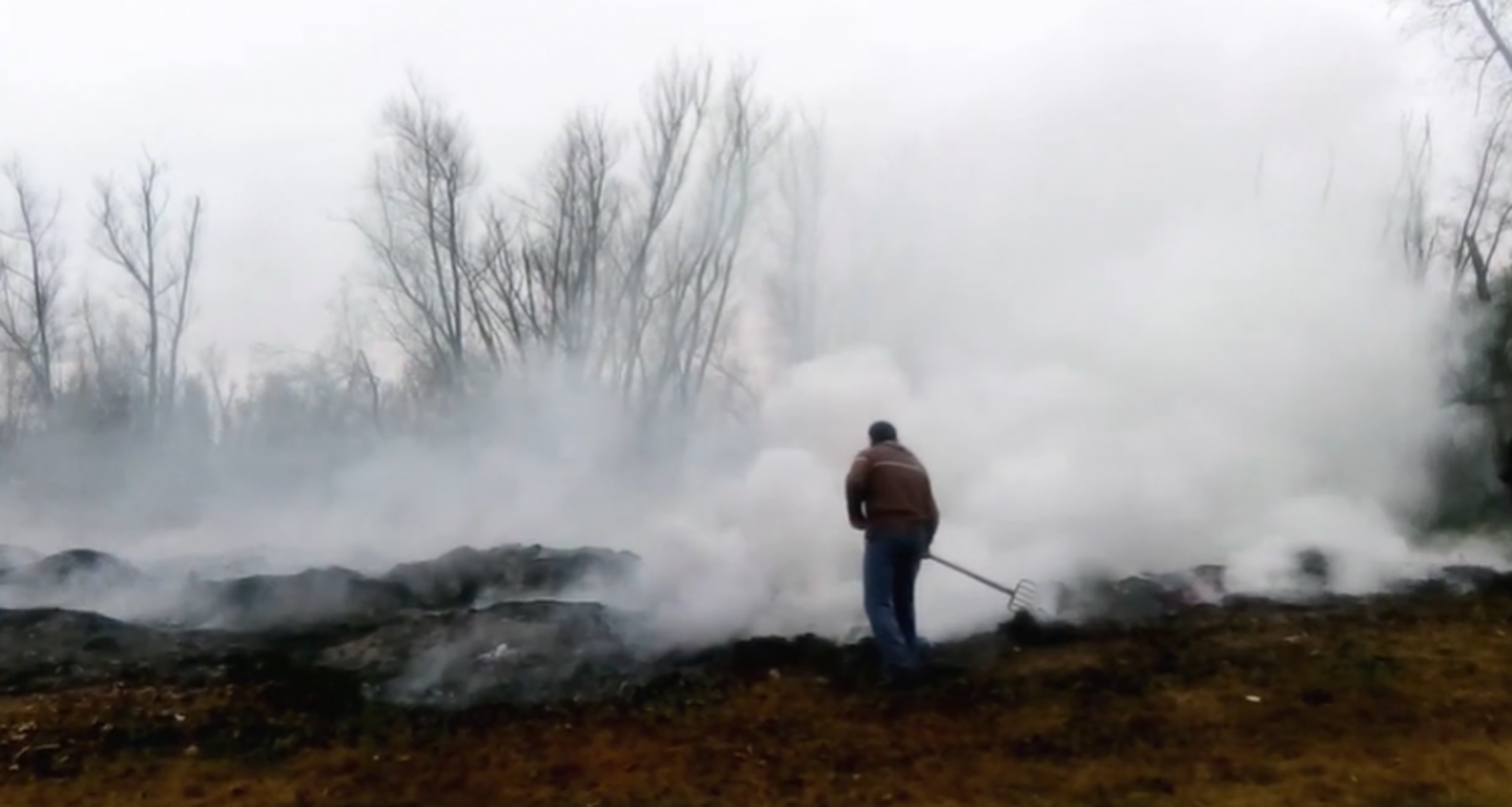 Piden informe al Gobierno para conocer las medidas tomadas por los incendios en el Paseo Público