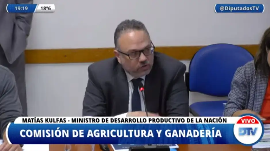 Con la presencia de Kulfas, Diputados avanzó con el proyecto que regula la producción de cannabis medicinal