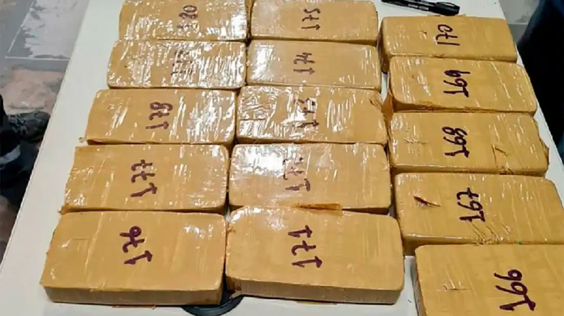 ¿Cuánto valen los más de 200 kilos de cocaína secuestrados en el Puente Internacional?
