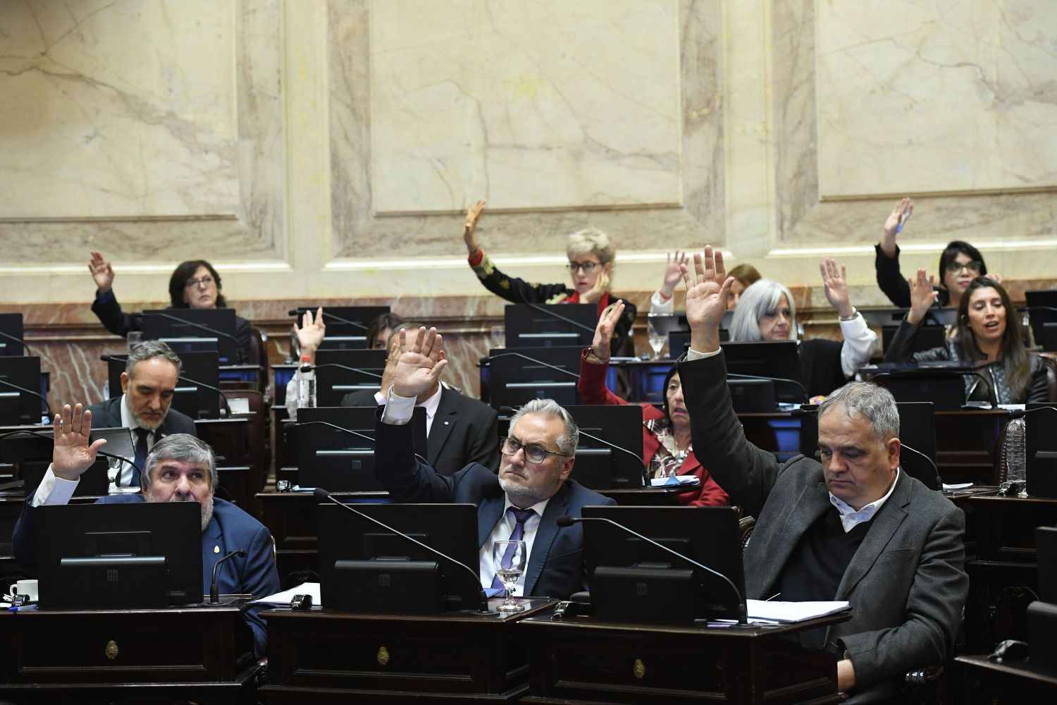 Sesión del Senado con agenda opositora: Se tratan jubilaciones, moratoria, discapacidad y fondos para gobernadores
