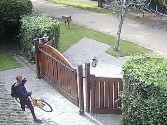 El robo fue registrado por las cámaras de seguridad de la casa.