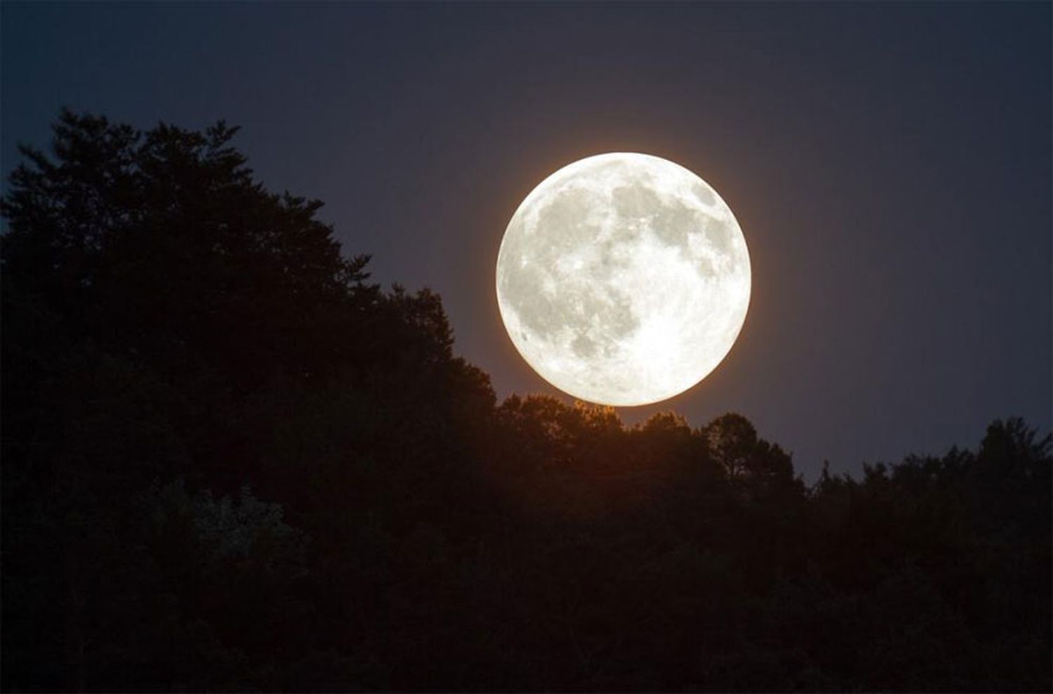 La NASA mandará un robot a la luna en busca de hielo