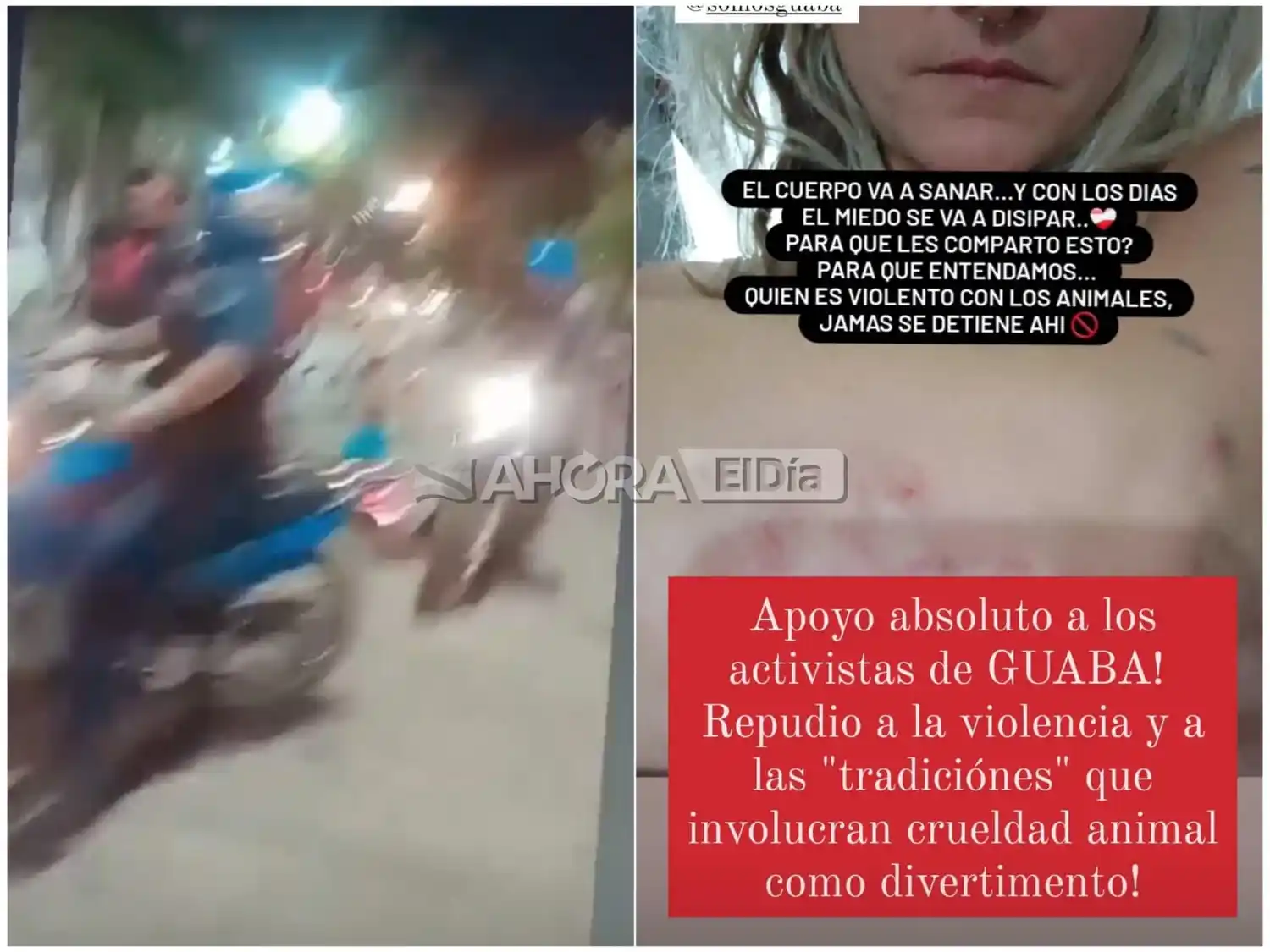 Los proteccionistas denuncian una brutal agresión de los tradicionalistas: "Nos corrieron, nos tiraron al piso y nos pegaron patadas"