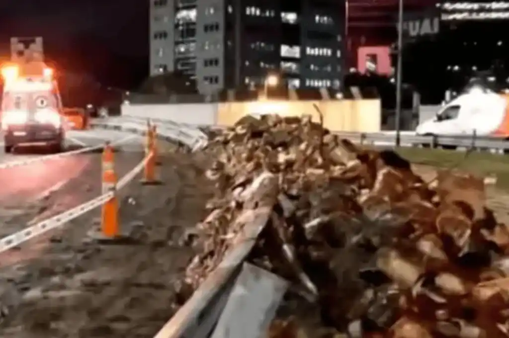 El cargamento incluía toneladas de tambores y panes de membrillo, latas de dulce de higo y cajas de dulce de leche.