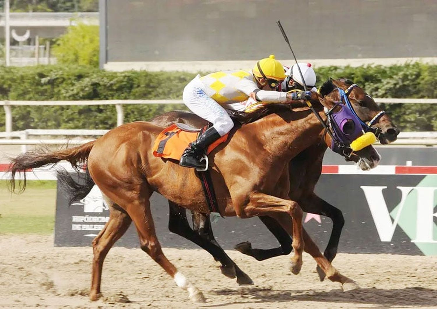 Sábado 21: Actividad Hipódromo de Palermo