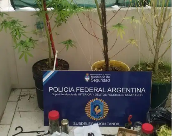 Secuestraron droga e intentarán establecer si era para consumo personal