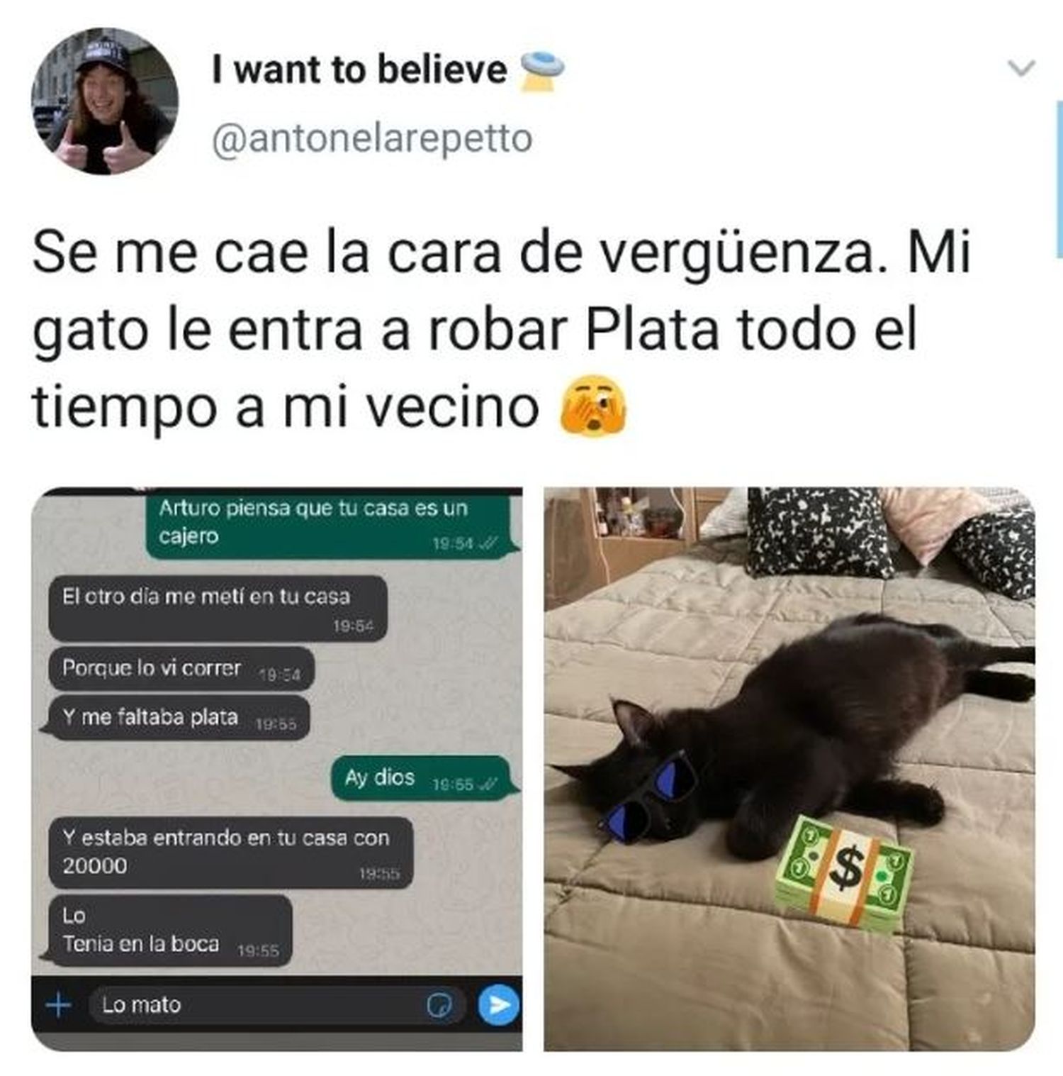 gato - 1