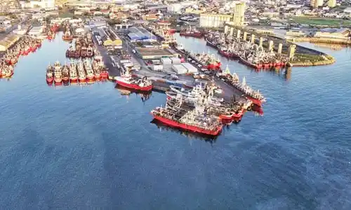 Alerta y rechazo a nivel político por la “desnacionalización” de la pesca y su impacto