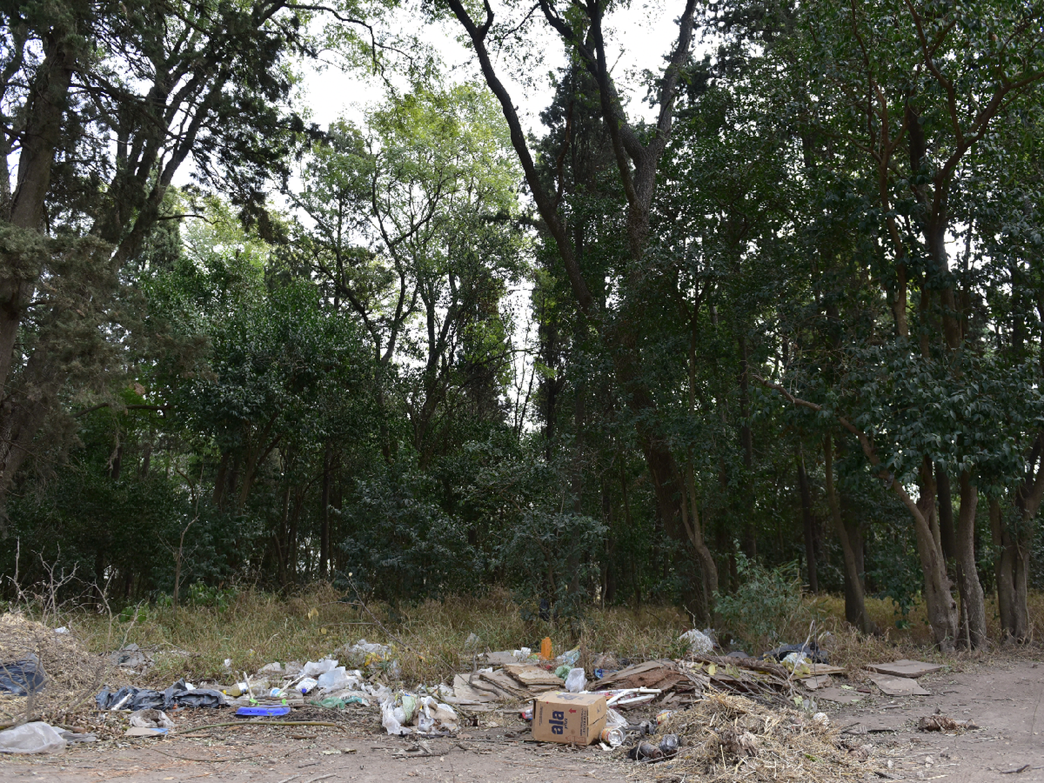  Que la basura no nos tape el bosque 