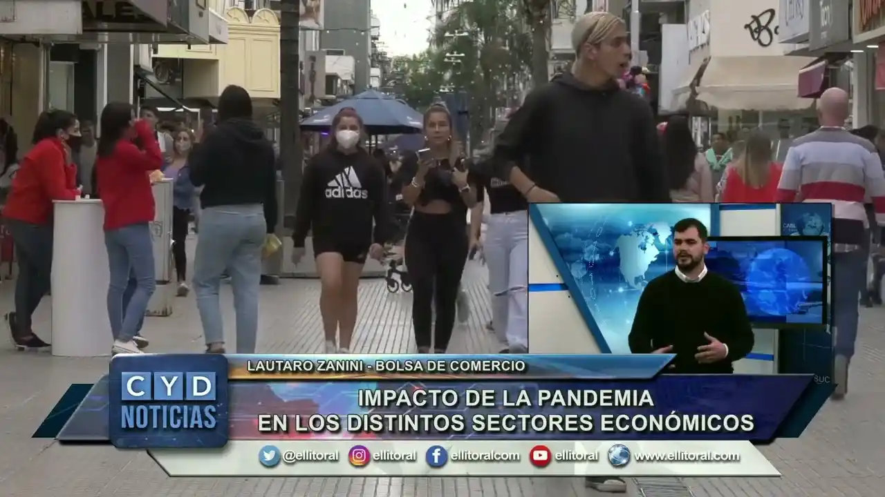 Impacto de la pandemia en los distintos sectores económicos