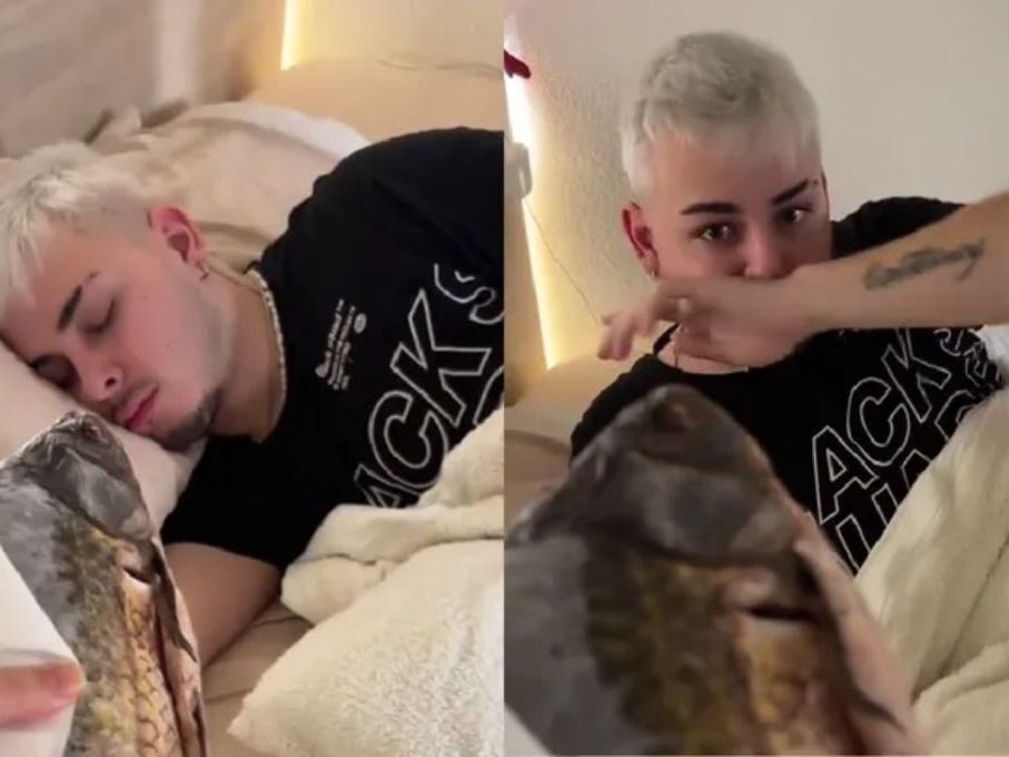 El video acumula millones de reproducciones en TikTok.