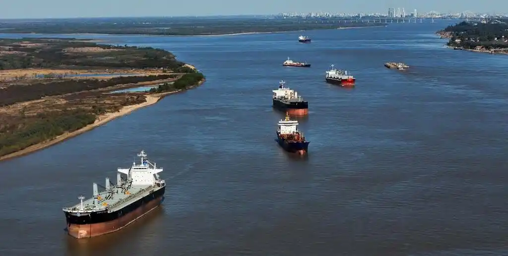 Aceite vegetal: Argentina bate records como proovedor