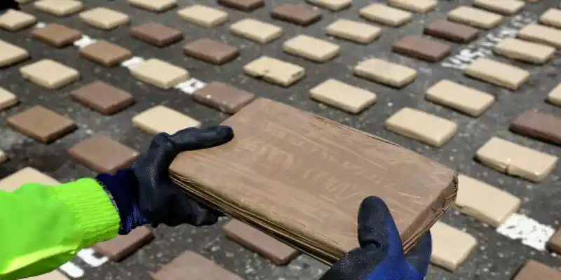 Colombia incauta 1,2 toneladas de cocaína en cajas de servilletas
