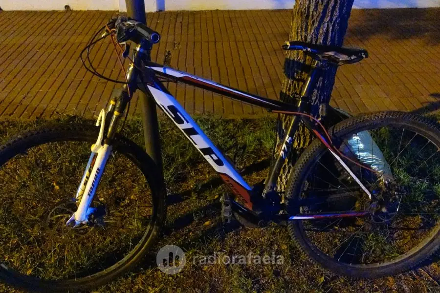 Por las cámaras del Centro de Monitoreo, lo vieron robando una bicicleta: quiso escapar, pero no lo logró