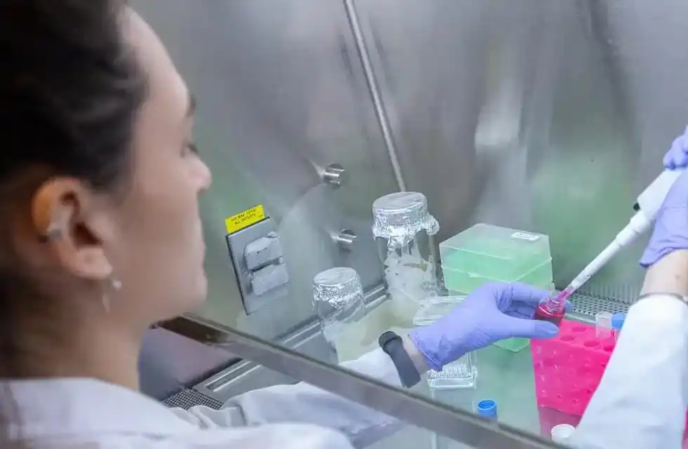 El "bocavirus", la infección respiratoria que afecta a pacientes pediátricos