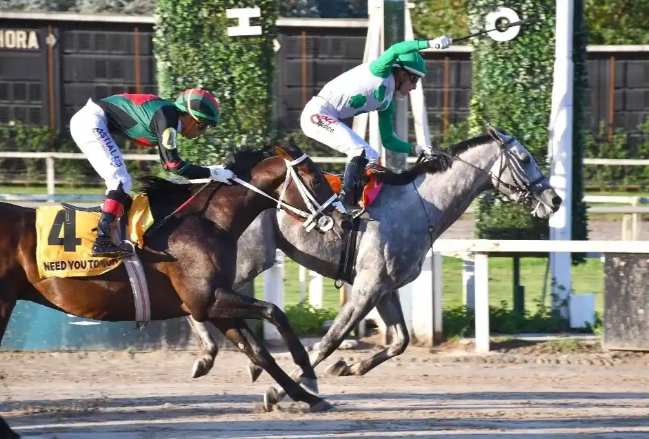 La gran revancha. Butterfing y Need You Tonight vuelven a cruzarse, ahora en el Gran Premio República Argentina (G1).