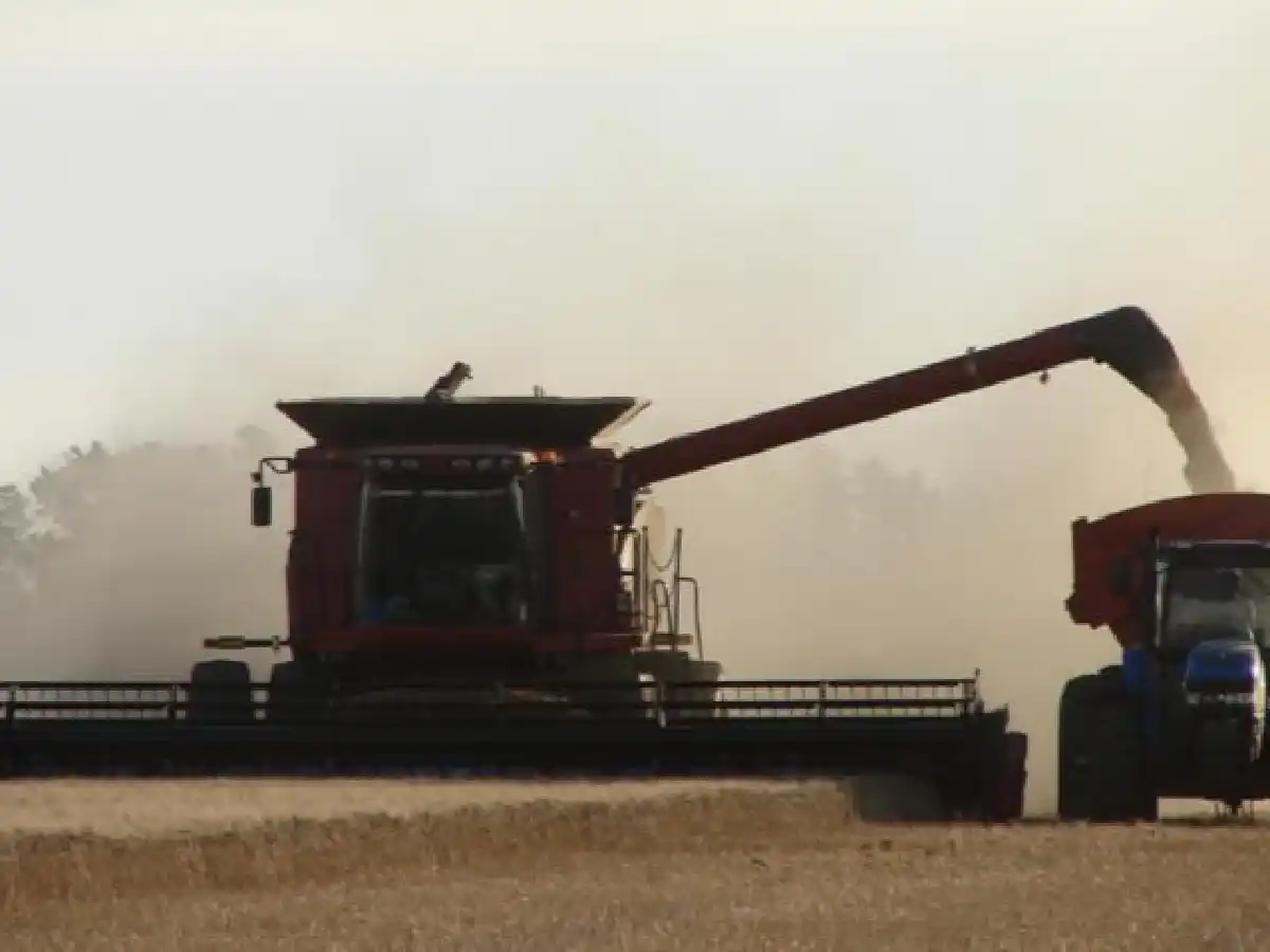 La cosecha de soja cayó un 31% respecto de 2017