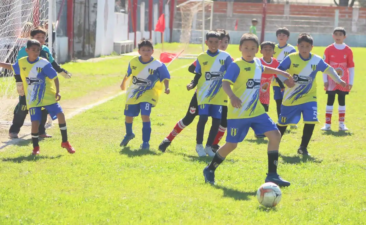 Fútbol Infantil y Juvenil: intensa 
actividad del fin de semana con 
resultados en todas las categorías