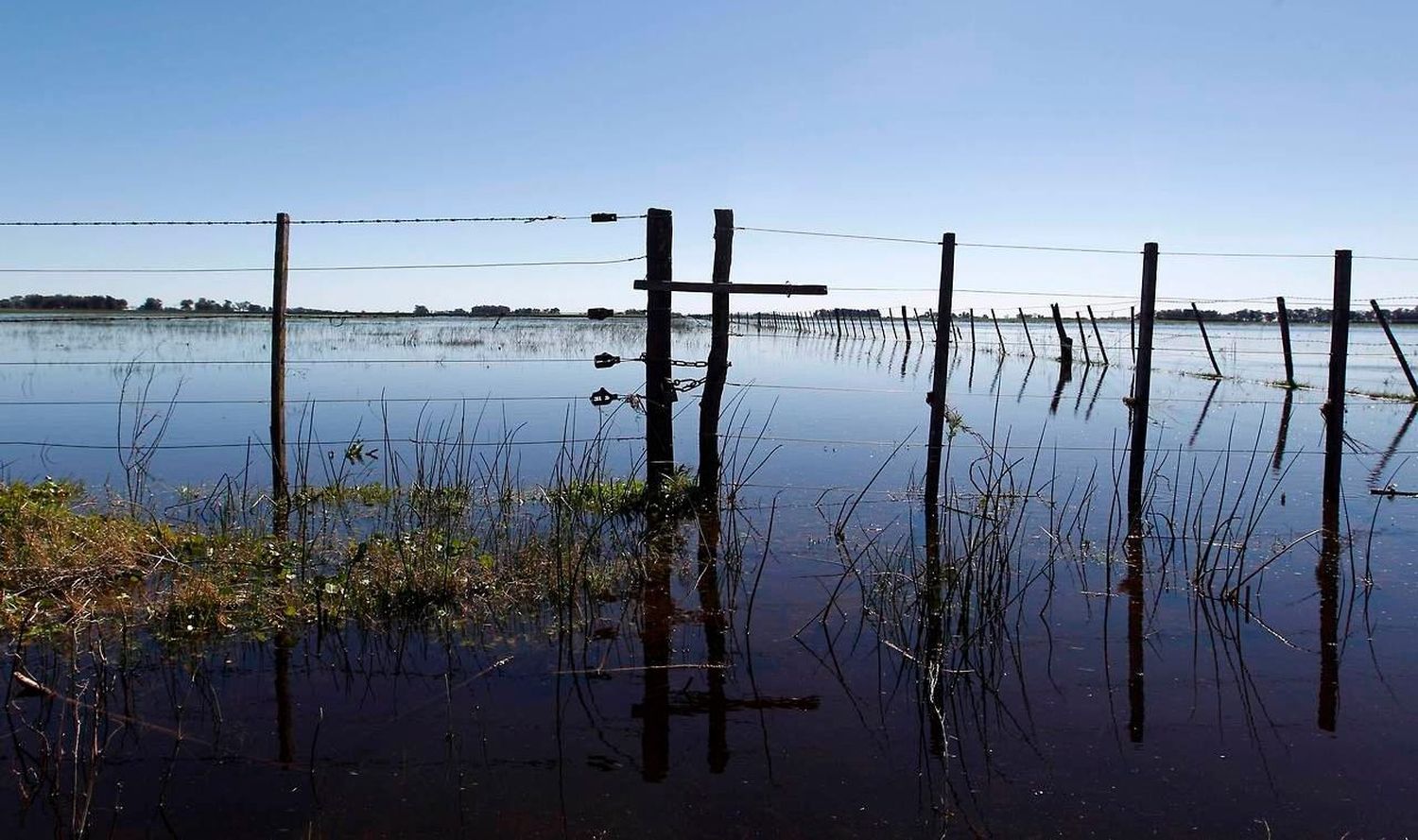 Ocho millones de hectáreas fueron afectadas por el agua en la Provincia