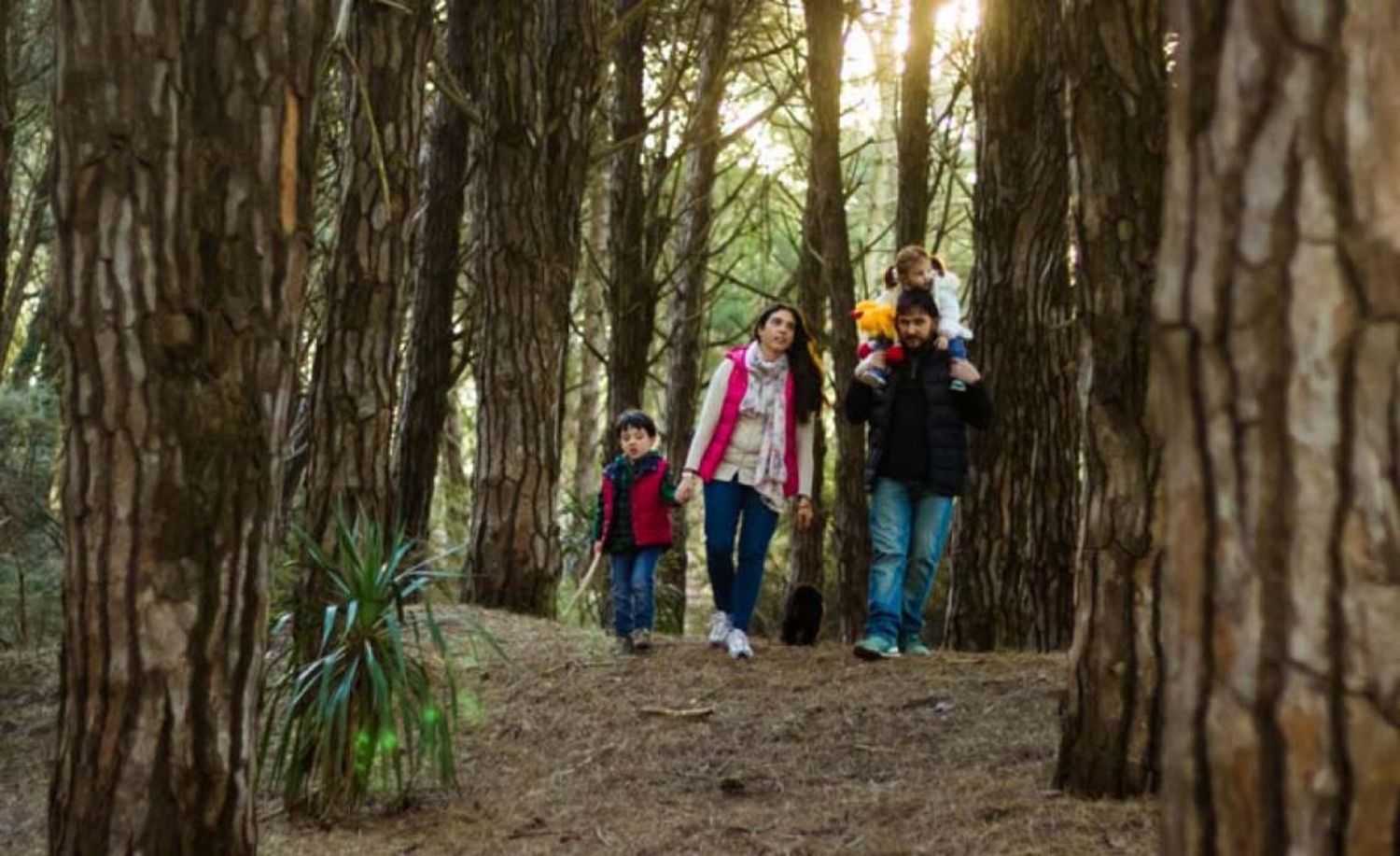 Vacaciones de invierno: Más de 2,5 millones de argentinos viajaron en lo que va de la temporada