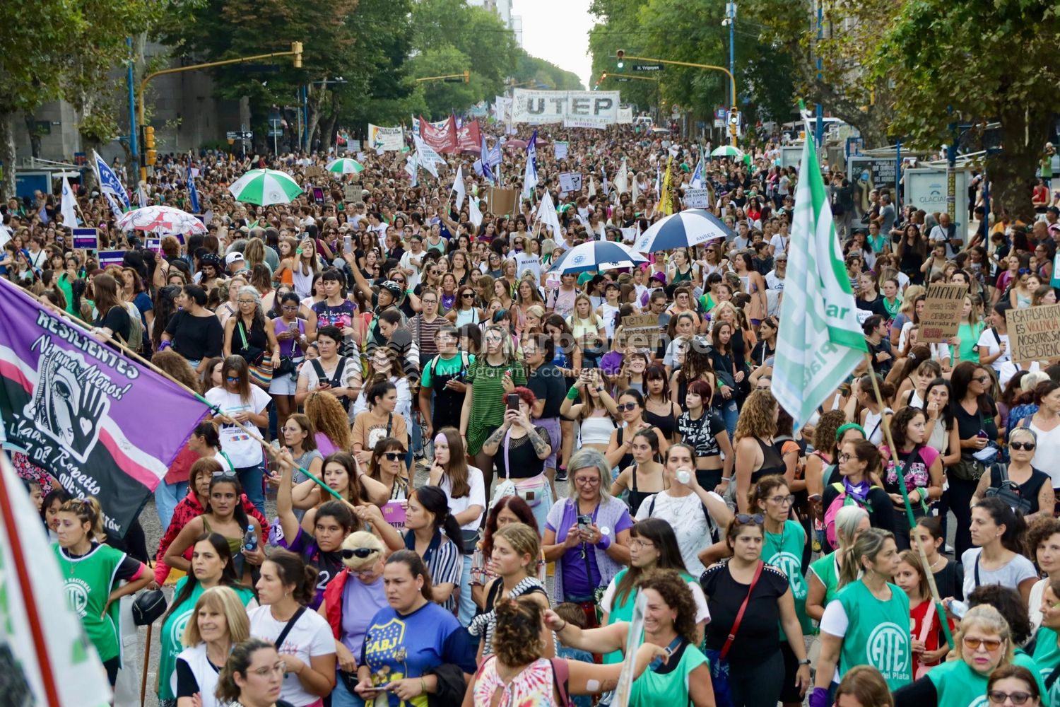 En Mar del Plata la marcha del 8M