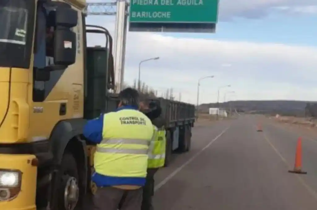 En Neuquén retuvieron a 26 camiones inhabilitados para circular