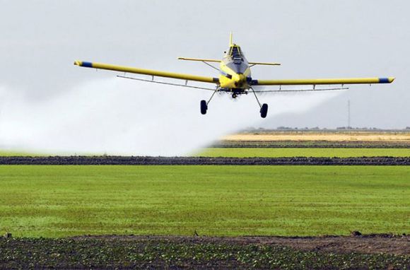 Agroquímicos: "Existe un mayor indice de cáncer en la zona rural"
