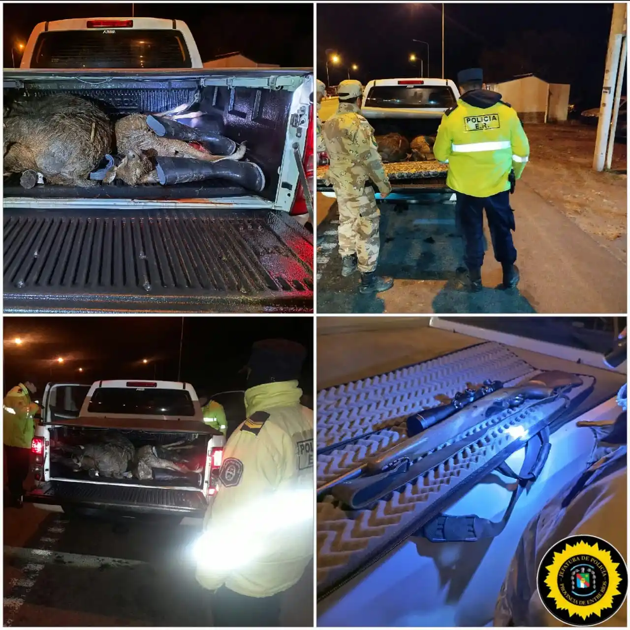 La Policía de Entre Ríos refuerza controles en Gualeguay: dos operativos exitosos logran secuestros de fauna y carne faenada