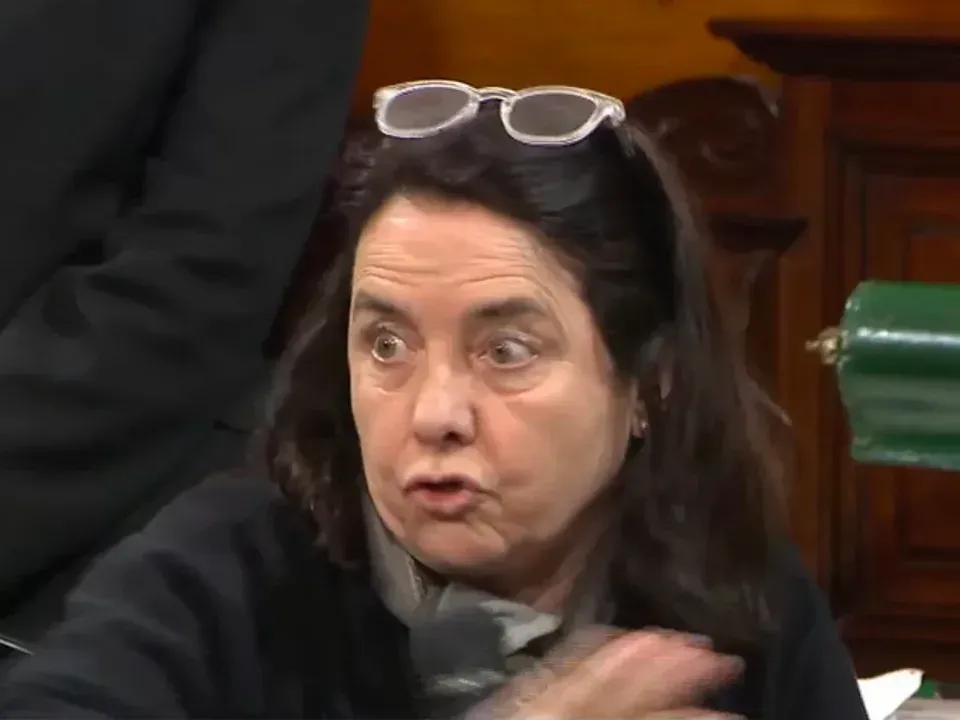 "No creo que los niños tengan derecho a ser curados en el Garrahan": polémica frase de una senadora