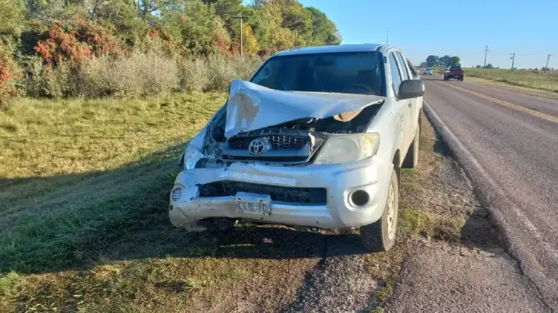 Fuerte choque en Ruta 12: murió un caballo
