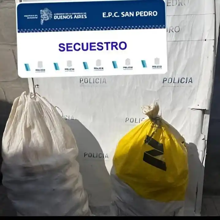 bolsa de duraznos robados del campo