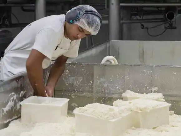 La exportación de lácteos creció 19%, en dólares, entre enero y octubre